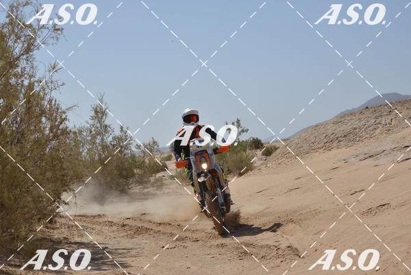 Buy your photos of the eventMerzouga Rally on Fotop