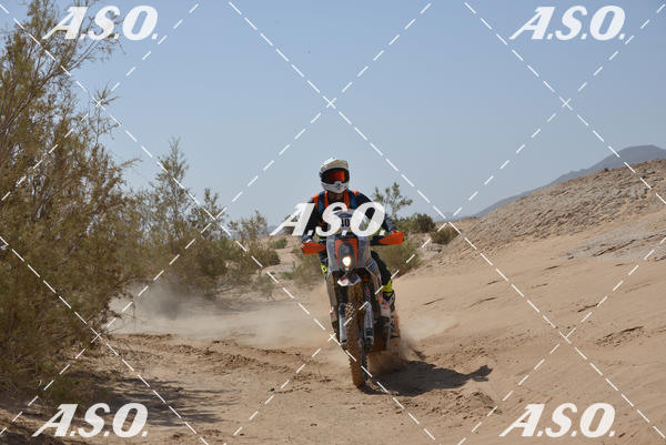 Buy your photos of the eventMerzouga Rally on Fotop