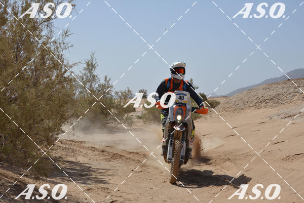 Buy your photos of the eventMerzouga Rally on Fotop