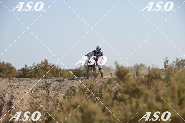 Buy your photos of the eventMerzouga Rally on Fotop