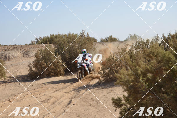 Buy your photos of the eventMerzouga Rally on Fotop
