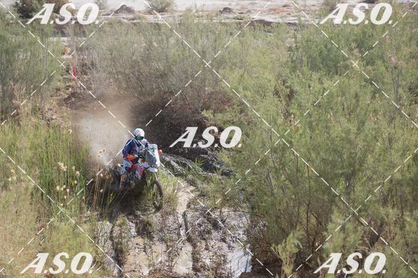 Buy your photos of the eventMerzouga Rally on Fotop