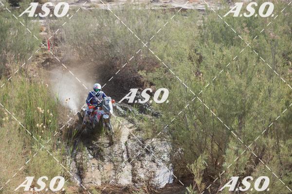 Buy your photos of the eventMerzouga Rally on Fotop