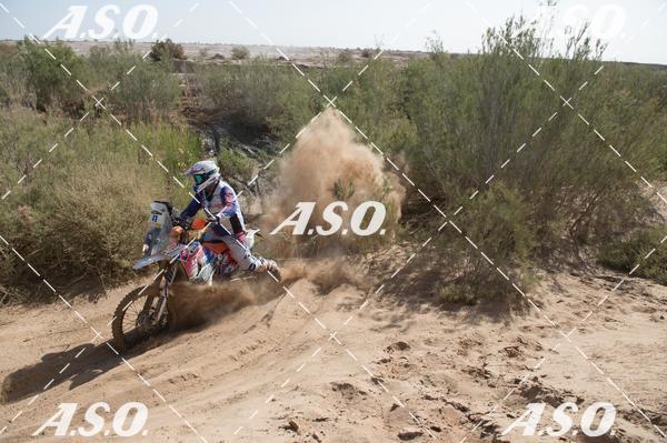 Buy your photos of the eventMerzouga Rally on Fotop