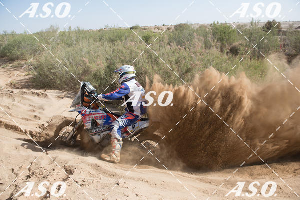 Buy your photos of the eventMerzouga Rally on Fotop