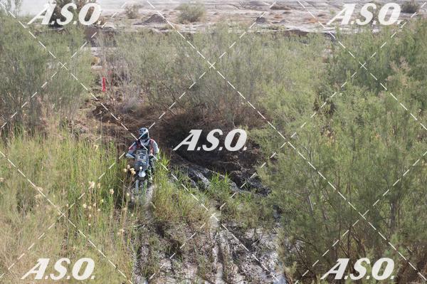 Buy your photos of the eventMerzouga Rally on Fotop