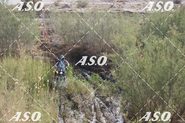 Buy your photos of the eventMerzouga Rally on Fotop