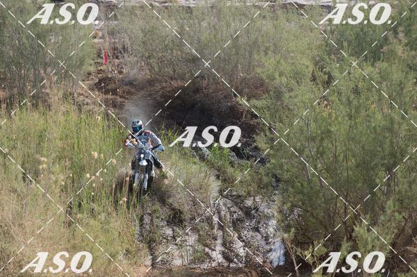 Buy your photos of the eventMerzouga Rally on Fotop