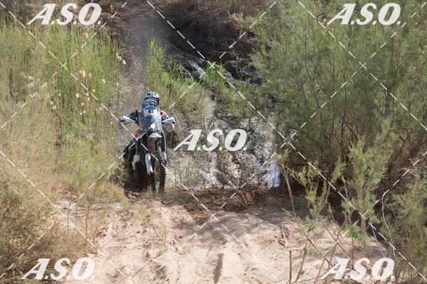 Buy your photos of the eventMerzouga Rally on Fotop