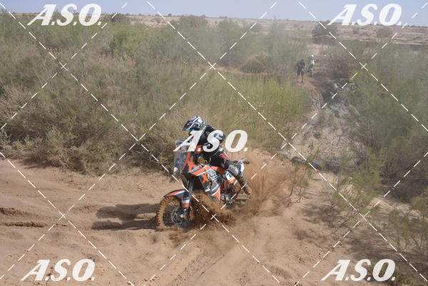 Buy your photos of the eventMerzouga Rally on Fotop