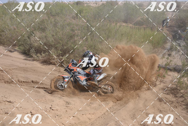 Buy your photos of the eventMerzouga Rally on Fotop