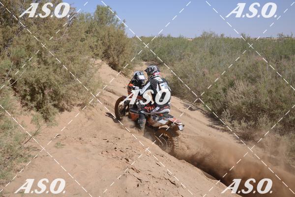Buy your photos of the eventMerzouga Rally on Fotop