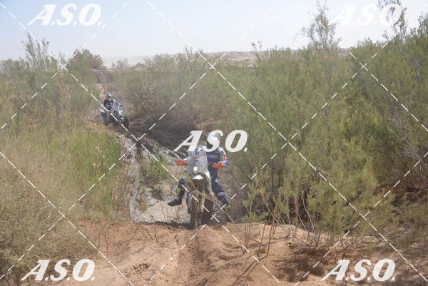 Buy your photos of the eventMerzouga Rally on Fotop