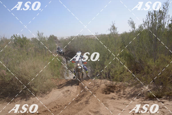 Buy your photos of the eventMerzouga Rally on Fotop