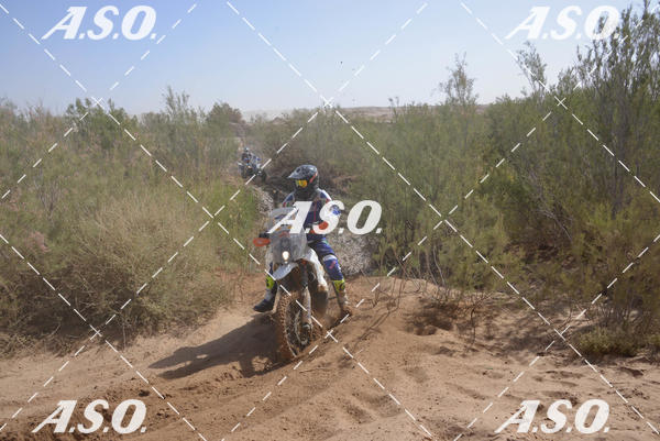 Buy your photos of the eventMerzouga Rally on Fotop