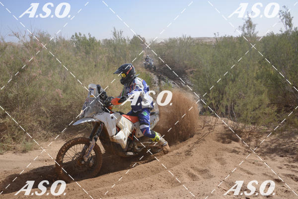 Buy your photos of the eventMerzouga Rally on Fotop