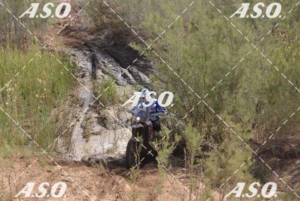 Buy your photos of the eventMerzouga Rally on Fotop