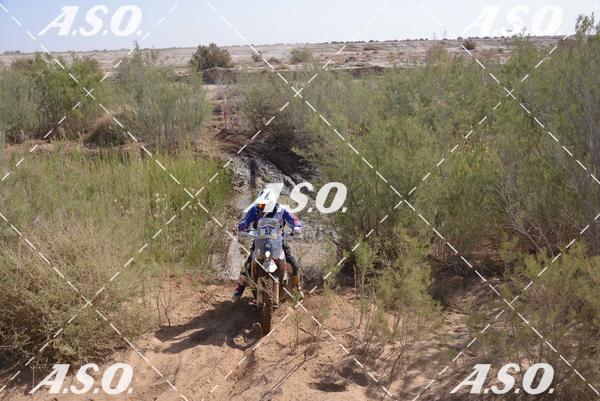 Buy your photos of the eventMerzouga Rally on Fotop