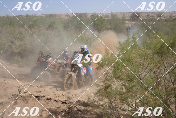 Buy your photos of the eventMerzouga Rally on Fotop