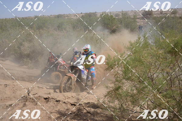 Buy your photos of the eventMerzouga Rally on Fotop