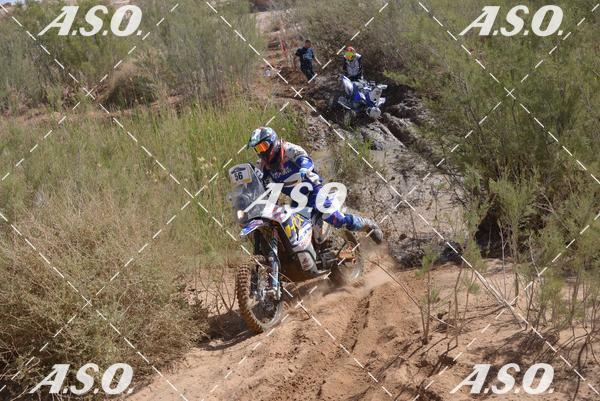 Buy your photos of the eventMerzouga Rally on Fotop