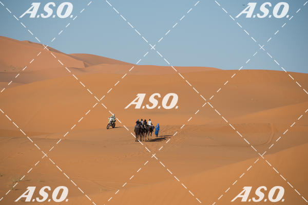 Buy your photos of the eventMerzouga Rally on Fotop