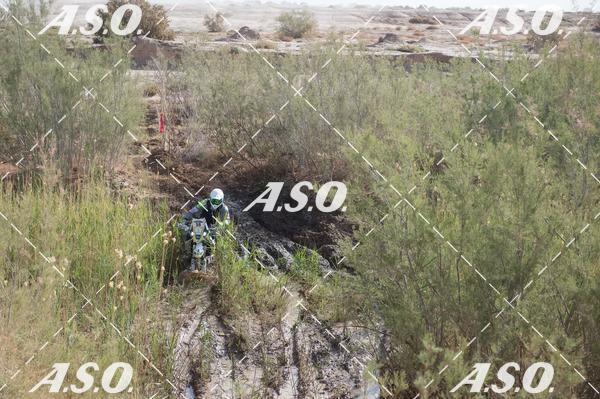 Buy your photos of the eventMerzouga Rally on Fotop