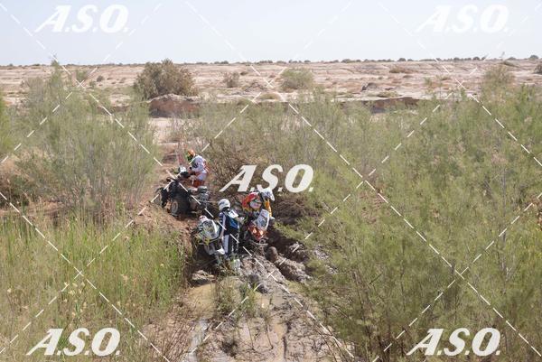 Buy your photos of the eventMerzouga Rally on Fotop