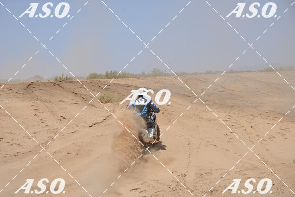Buy your photos of the eventMerzouga Rally on Fotop