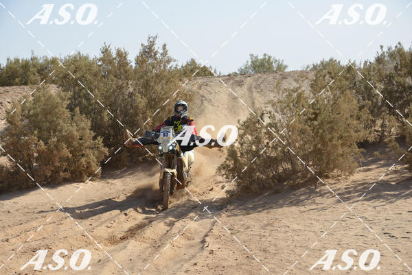 Buy your photos of the eventMerzouga Rally on Fotop