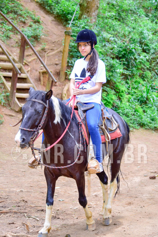 Buy your photos of the eventNR Sun  14 a 18/11/18 on Fotop