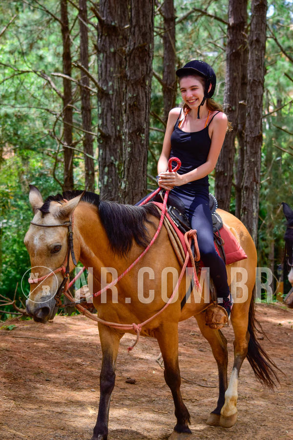 Buy your photos of the eventNR Sun  14 a 18/11/18 on Fotop