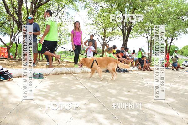 Buy your photos of the event6� Corrida do Litoral - Montes Guararapes - Jaboat�o on Fotop