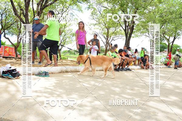 Buy your photos of the event6� Corrida do Litoral - Montes Guararapes - Jaboat�o on Fotop