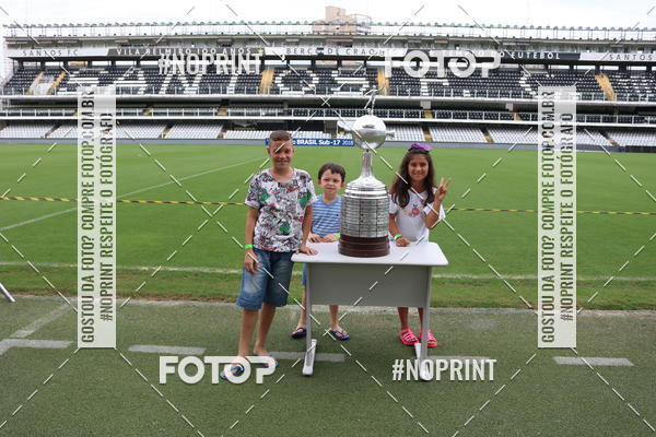 Compre as suas fotos do eventoTour Vila Belmiro - 18 de Novembro no Fotop