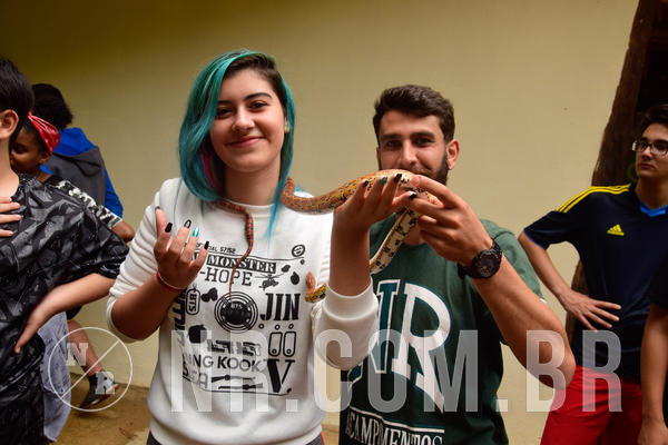 Buy your photos of the eventNR Sun - 18 A 21/11/18 on Fotop