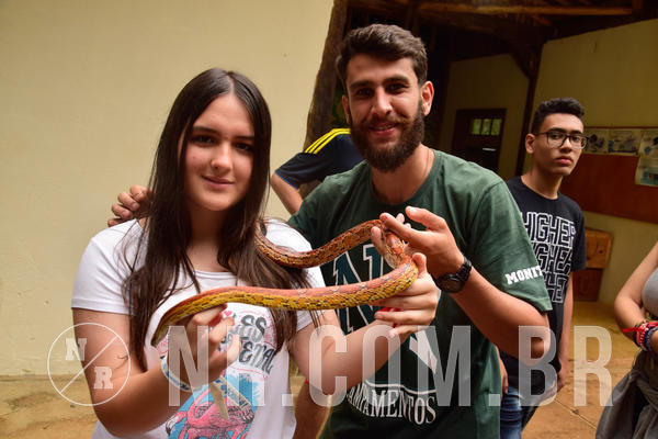 Buy your photos of the eventNR Sun - 18 A 21/11/18 on Fotop