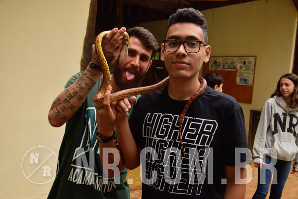 Buy your photos of the eventNR Sun - 18 A 21/11/18 on Fotop