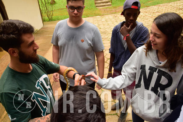 Buy your photos of the eventNR Sun - 18 A 21/11/18 on Fotop