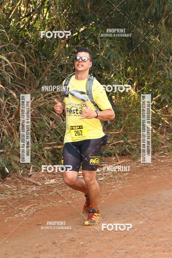 Buy your photos of the eventUltramaratona Trail Run CS 2019 on Fotop