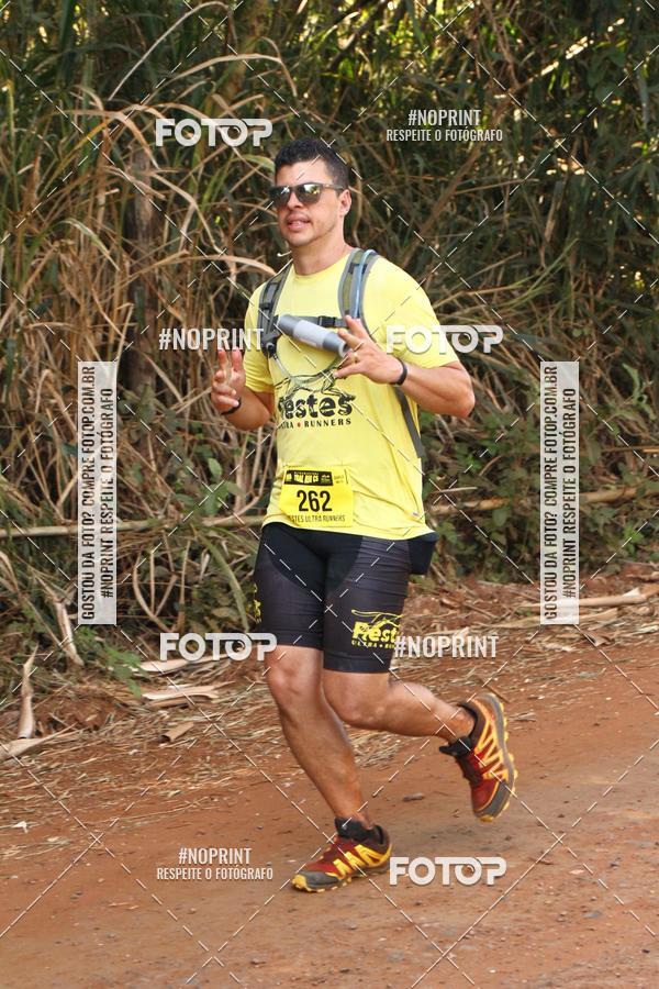 Buy your photos of the eventUltramaratona Trail Run CS 2019 on Fotop