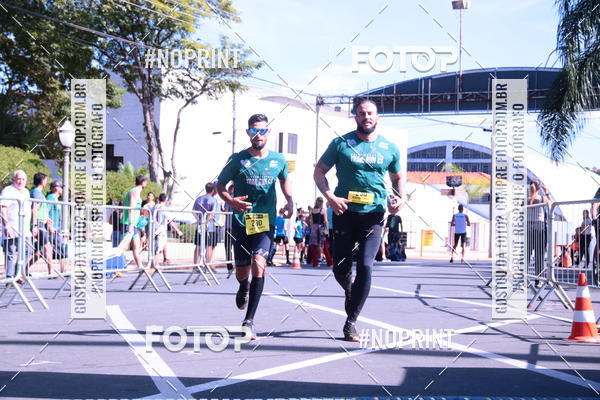 Buy your photos of the eventUltramaratona Trail Run CS 2019 on Fotop