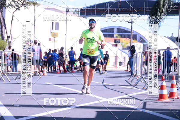 Buy your photos of the eventUltramaratona Trail Run CS 2019 on Fotop