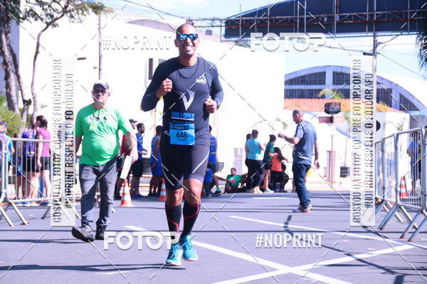 Buy your photos of the eventUltramaratona Trail Run CS 2019 on Fotop