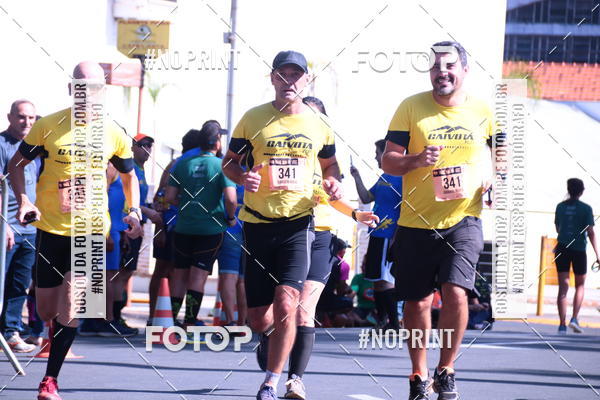 Buy your photos of the eventUltramaratona Trail Run CS 2019 on Fotop