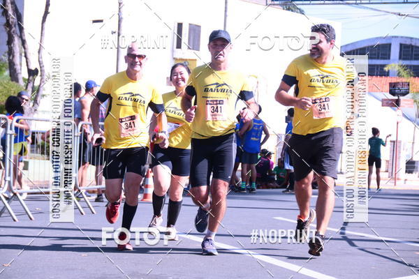 Buy your photos of the eventUltramaratona Trail Run CS 2019 on Fotop