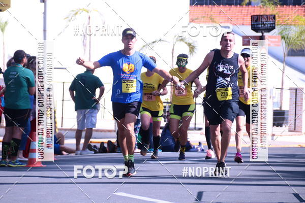 Buy your photos of the eventUltramaratona Trail Run CS 2019 on Fotop