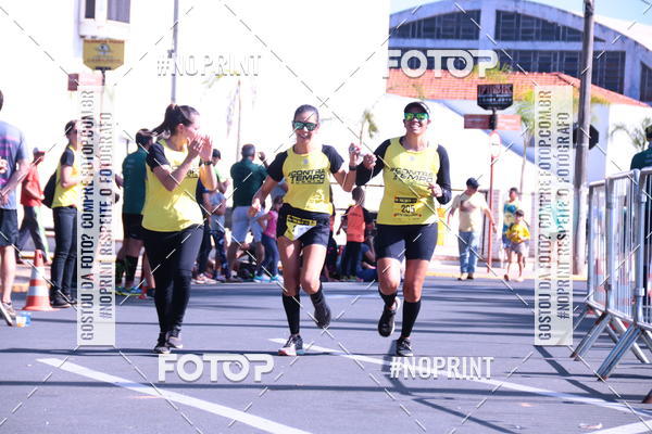 Buy your photos of the eventUltramaratona Trail Run CS 2019 on Fotop