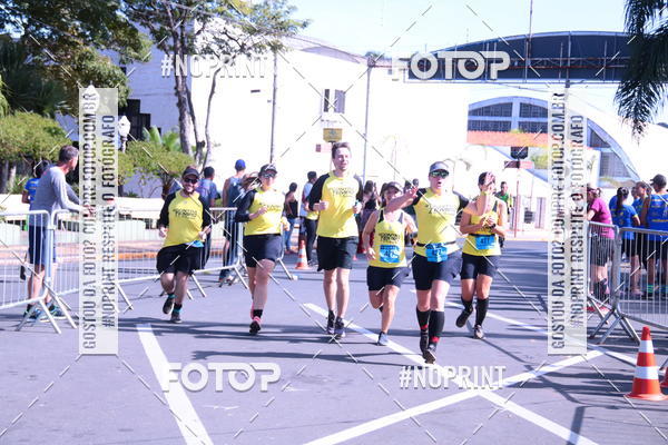 Buy your photos of the eventUltramaratona Trail Run CS 2019 on Fotop