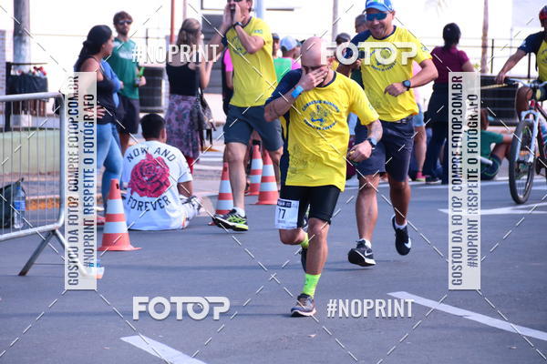 Buy your photos of the eventUltramaratona Trail Run CS 2019 on Fotop